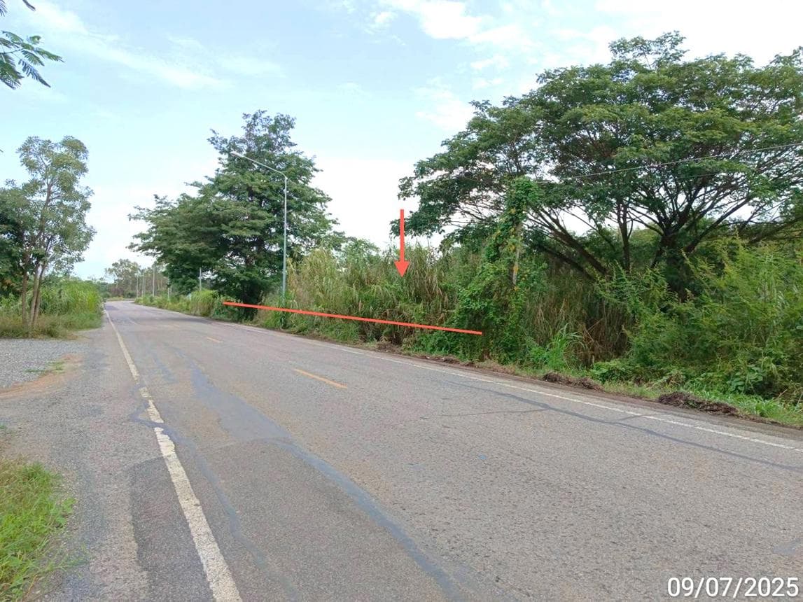 ขายที่ดินเปล่า ตะพานหิน พิจิตร ทำเลงิ้วราย เนื้อที่ 86 ไร่ เหมาะสำหรับทำการเกษตรหรือลงทุน