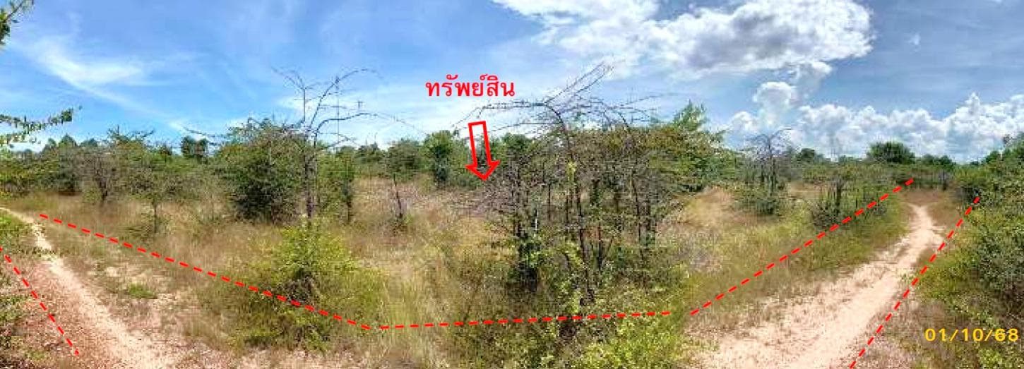 ที่ดิน ทำเลศักยภาพ กะลุวอเหนือ เมืองนราธิวาส นราธิวาส