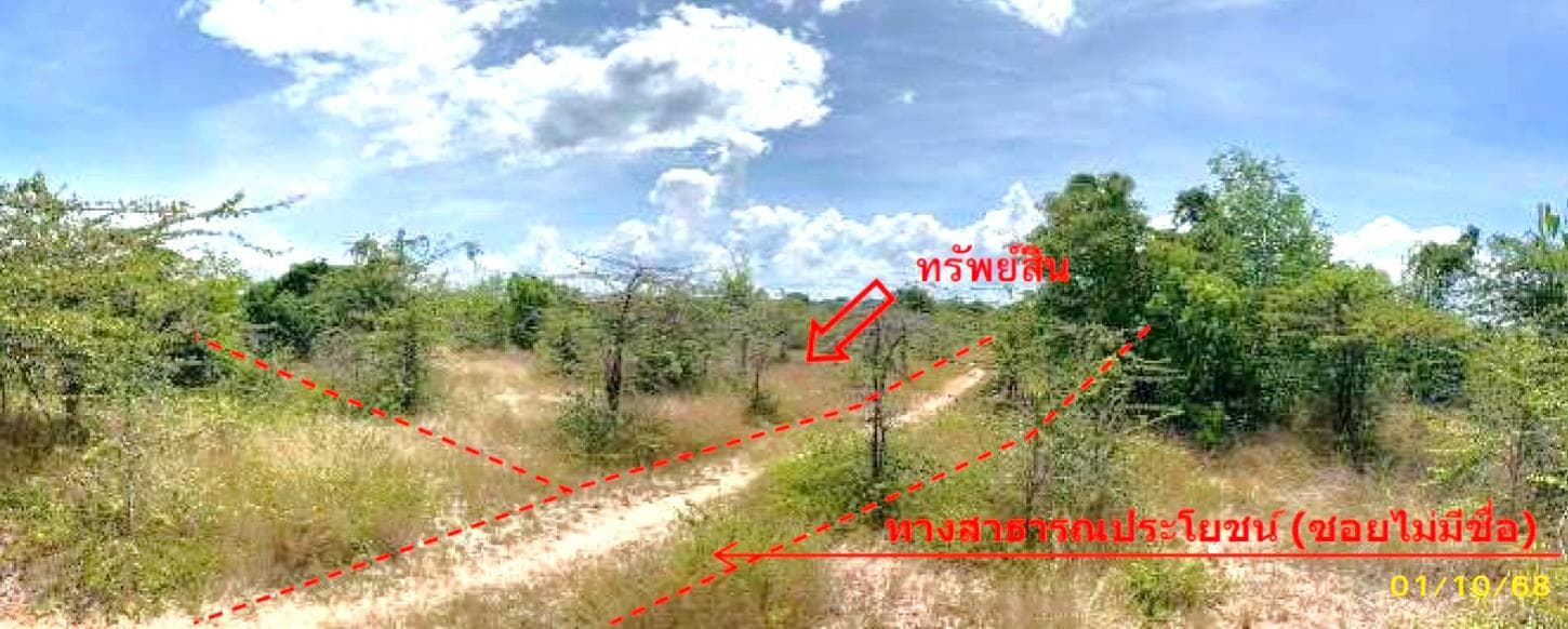ที่ดิน ทำเลศักยภาพ กะลุวอเหนือ เมืองนราธิวาส นราธิวาส