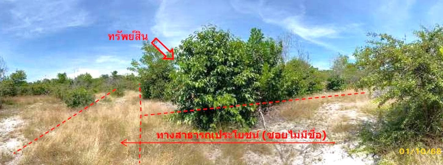 ที่ดิน ทำเลศักยภาพ กะลุวอเหนือ เมืองนราธิวาส นราธิวาส