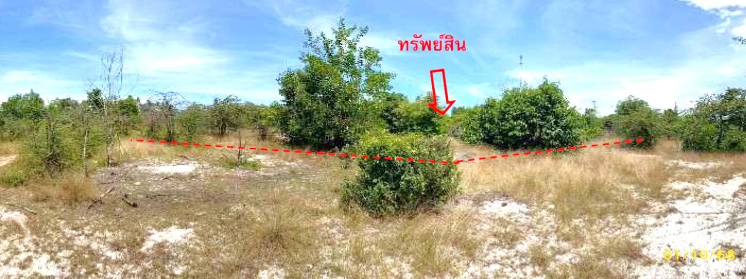 ที่ดิน ทำเลศักยภาพ กะลุวอเหนือ เมืองนราธิวาส นราธิวาส