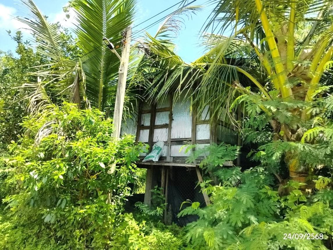 บ้านเดี่ยว อากาศ อากาศอำนวย สกลนคร 2 ห้องนอน 1 ห้องน้ำ พื้นที่ใช้สอย 200 ตร.ม. ทำเลสงบเดินทางสะดวก พื้นที่ใช้สอยกว้างขวาง ราคาพิเศษ 3.21 ล้าน