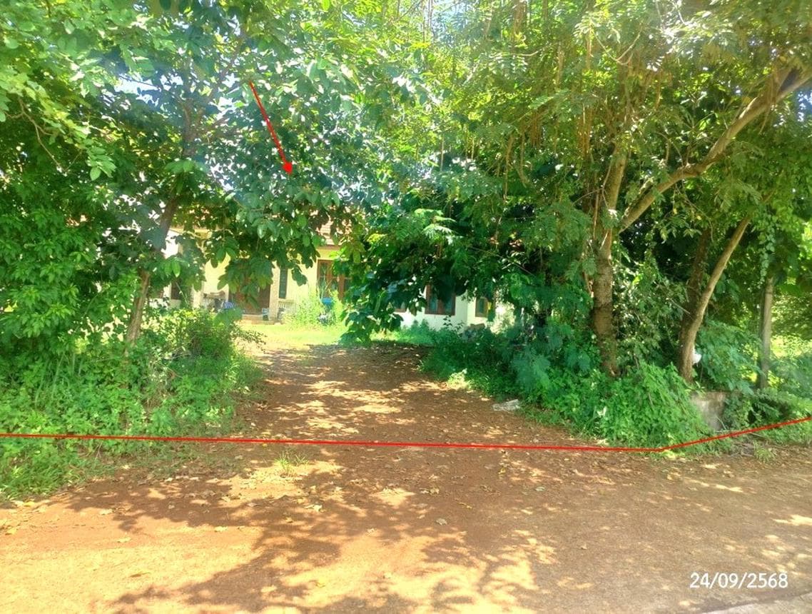 บ้านเดี่ยว อากาศ อากาศอำนวย สกลนคร 2 ห้องนอน 1 ห้องน้ำ พื้นที่ใช้สอย 200 ตร.ม. ทำเลสงบเดินทางสะดวก พื้นที่ใช้สอยกว้างขวาง ราคาพิเศษ 3.21 ล้าน