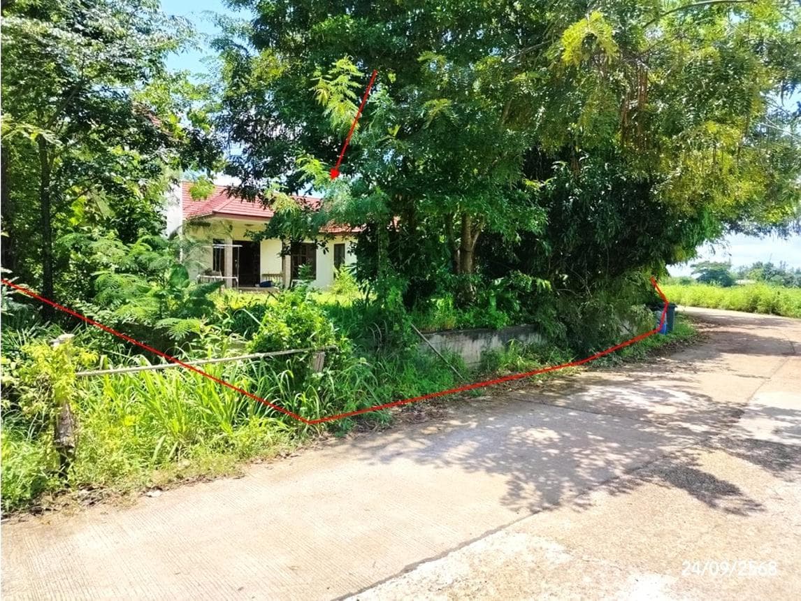 บ้านเดี่ยว อากาศ อากาศอำนวย สกลนคร 2 ห้องนอน 1 ห้องน้ำ พื้นที่ใช้สอย 200 ตร.ม. ทำเลสงบเดินทางสะดวก พื้นที่ใช้สอยกว้างขวาง ราคาพิเศษ 3.21 ล้าน