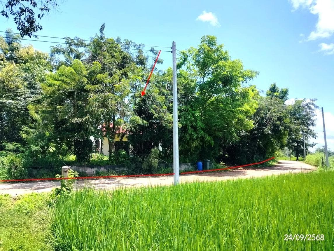 บ้านเดี่ยว อากาศ อากาศอำนวย สกลนคร 2 ห้องนอน 1 ห้องน้ำ พื้นที่ใช้สอย 200 ตร.ม. ทำเลสงบเดินทางสะดวก พื้นที่ใช้สอยกว้างขวาง ราคาพิเศษ 3.21 ล้าน