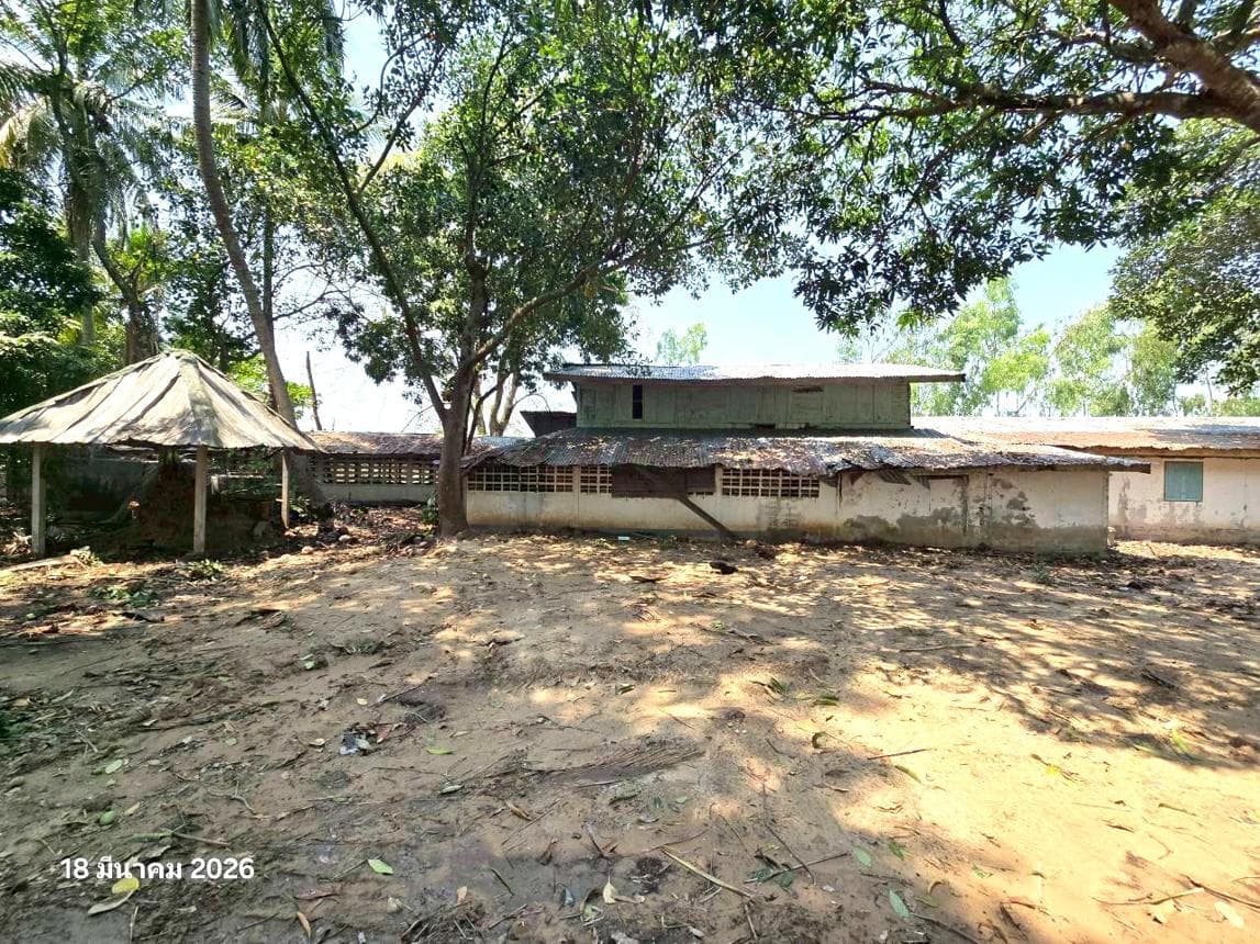 ขายบ้านเดี่ยว หัวดง เก้าเลี้ยว นครสวรรค์ 2 ห้องนอน พื้นที่ใช้สอย 517 ตร.ม.