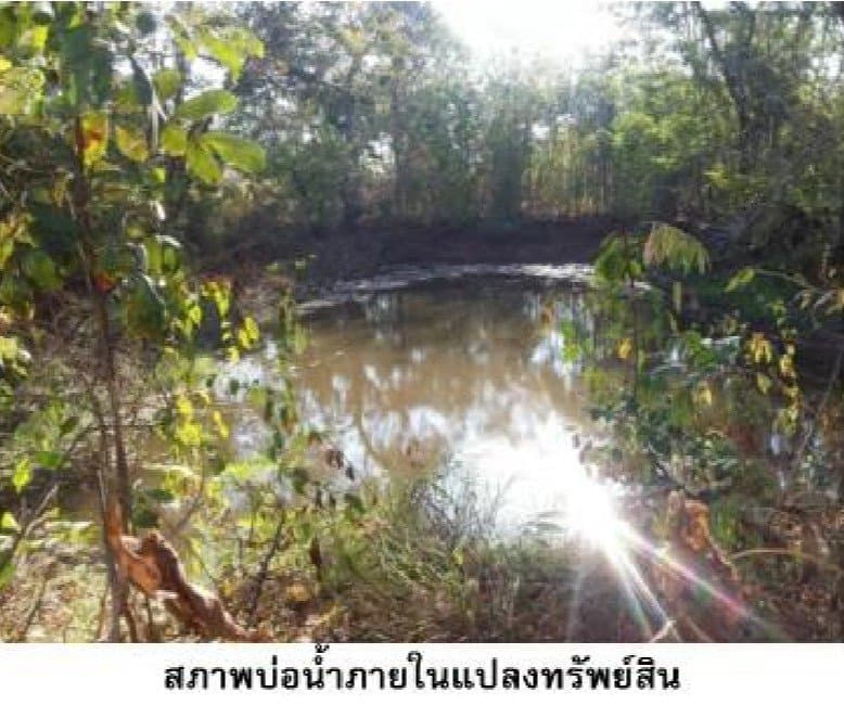 ที่ดินว่างเปล่า น้ำยืน-อุบลราชธานี
