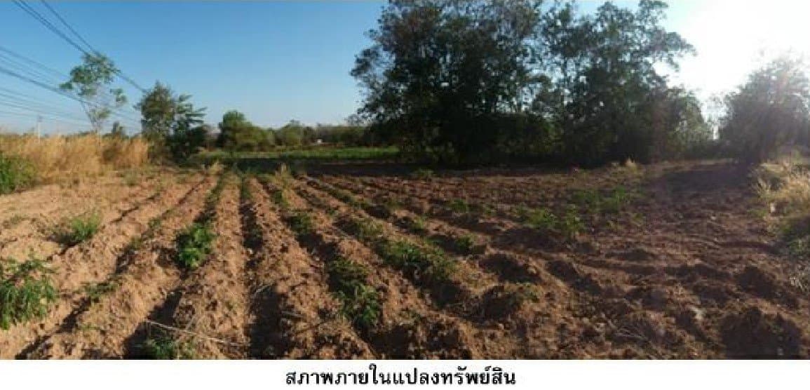 ที่ดินว่างเปล่า น้ำยืน-อุบลราชธานี