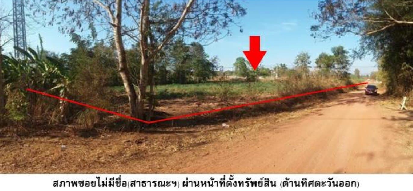 ที่ดินว่างเปล่า น้ำยืน-อุบลราชธานี