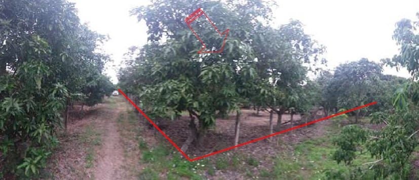 ที่ดินว่างเปล่า บ้านโฮ่ง-ลำพูน