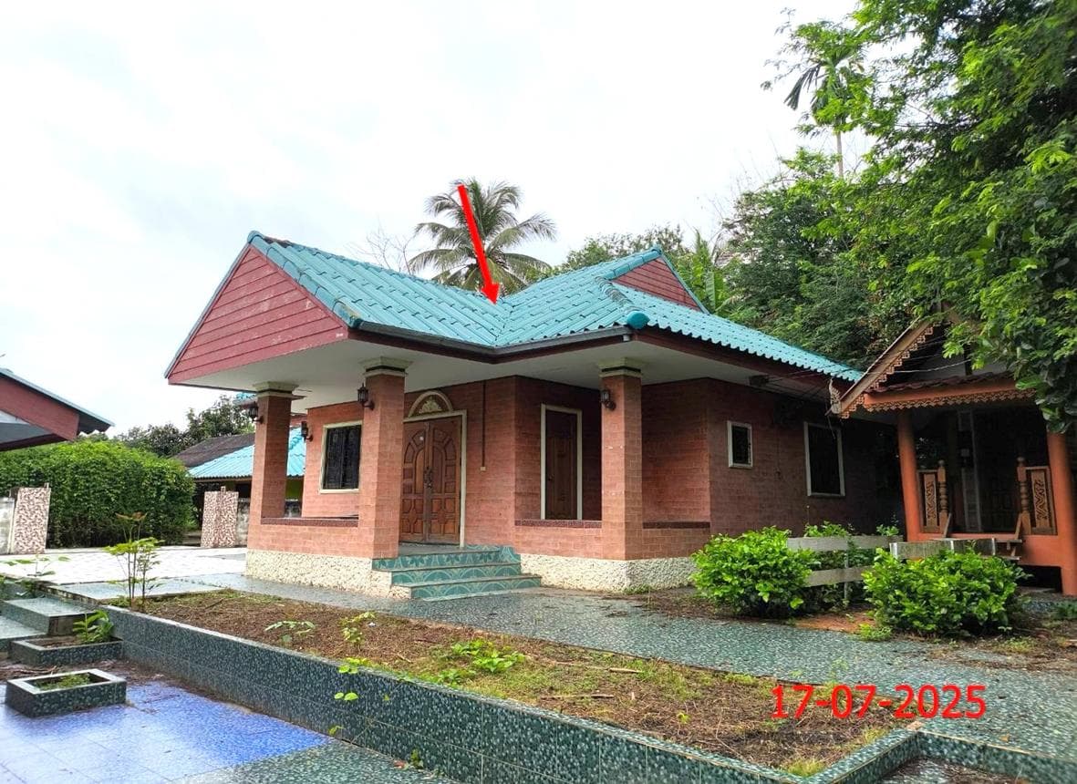 ขายบ้านเดี่ยว แม่สัน ห้างฉัตร ลำปาง 2 ห้องนอน 2 ห้องน้ำ ทำเลสงบ บรรยากาศดี ราคาล้านต้นๆ นอกเหนือจากตัวนั่นเอง