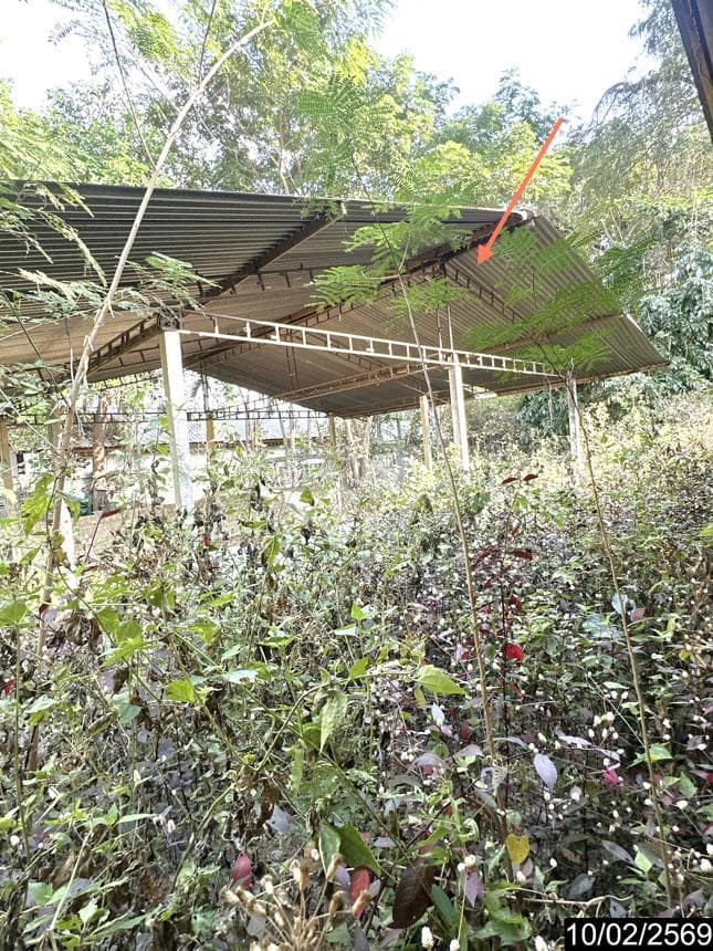 บ้านเดี่ยว 1 ห้องนอน พื้นที่ 142.5 ตร.ม. ทำเลศักยภาพ ท่าลาด วารินชำราบ อุบลราชธานี