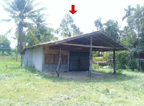 บ้านเดี่ยว กันทรารมย์-ศรีสะเกษ