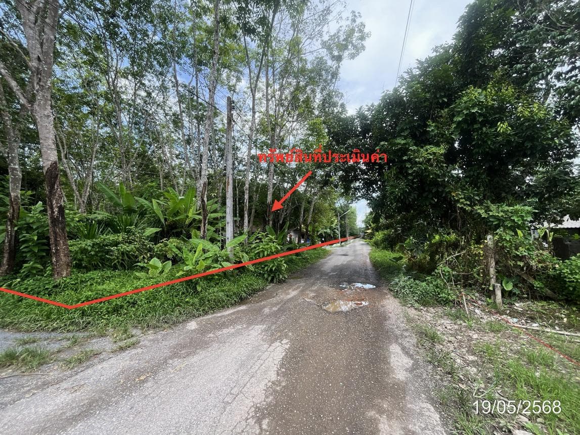 ขายบ้านเดี่ยว กรูด กาญจนดิษฐ์ สุราษฎร์ธานี 2 ห้องนอน สเปซกว้าง 166 ตร.ม. บนเนื้อที่ 60 ตร.ว. ทำเลสงบราคาคุ้มค่านั่นเอง