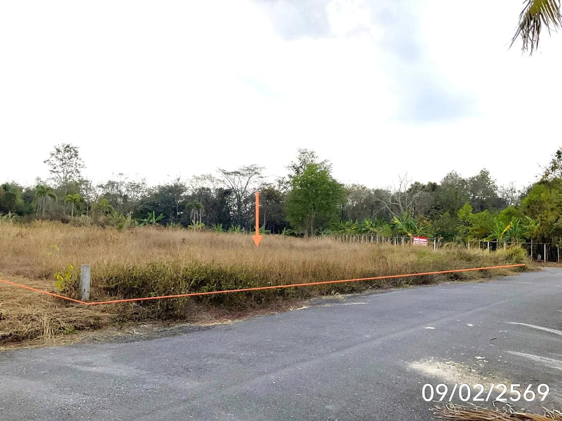 ที่ดินเปล่าทำเลศักยภาพ เวียงชัย เชียงราย บรรยากาศธรรมชาติ ใกล้ตัวเมือง