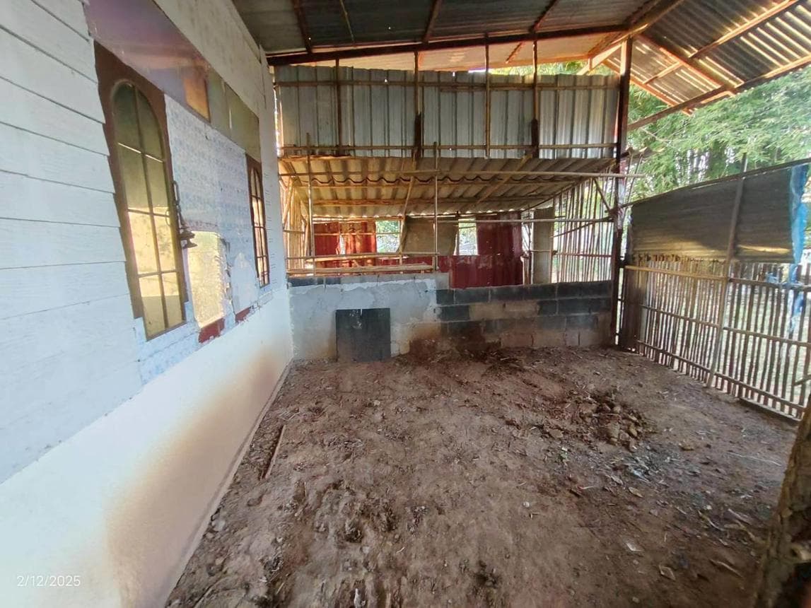 บ้านเดี่ยว นาฝาย เมืองชัยภูมิ ชัยภูมิ 2 ห้องนอน 1 ห้องน้ำ พื้นที่กว้าง 139 ตร.ม. บนที่ดิน 68.8 ตร.ว. ทำเลสงบเดินทางสะดวก ใกล้มหาวิทยาลัย ราคาพิเศษ 1.76 ล้าน