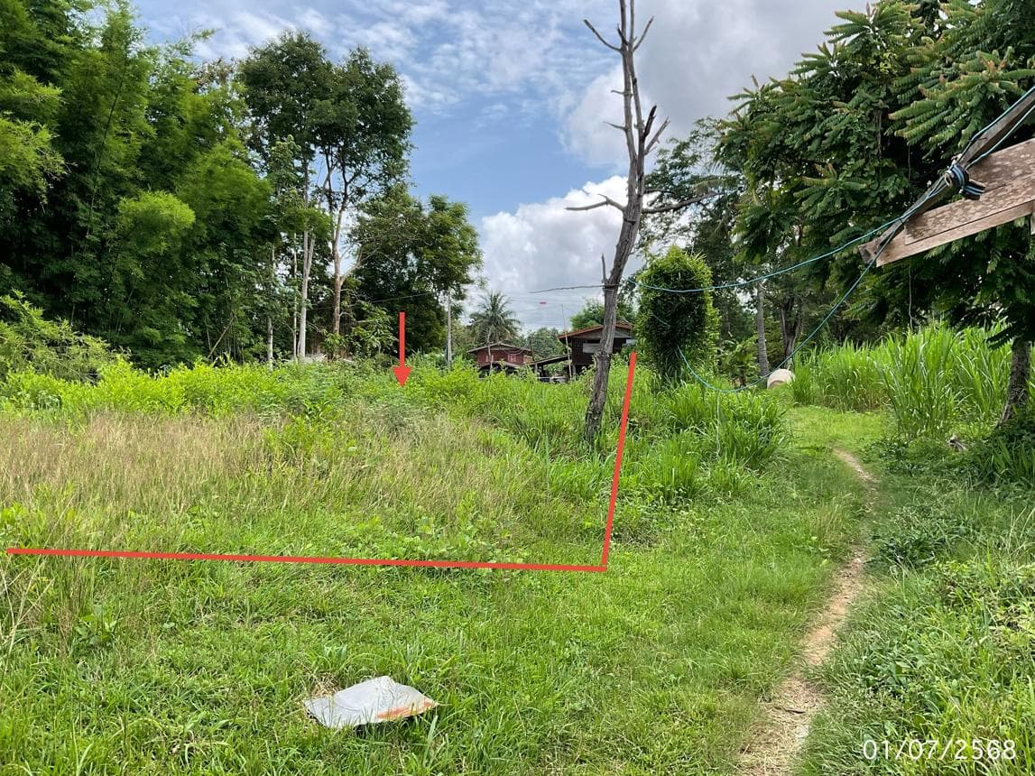 ขายที่ดินเปล่าผืนใหญ่ 8 ไร่ ทำเลดี ต.สารภี อ.โพธิ์ไทร จ.อุบลราชธานี ราคาพิเศษเพียง 1.93 แสนบาท เหมาะสำหรับเกษตรกรรมหรือเก็บเก็งกำไร