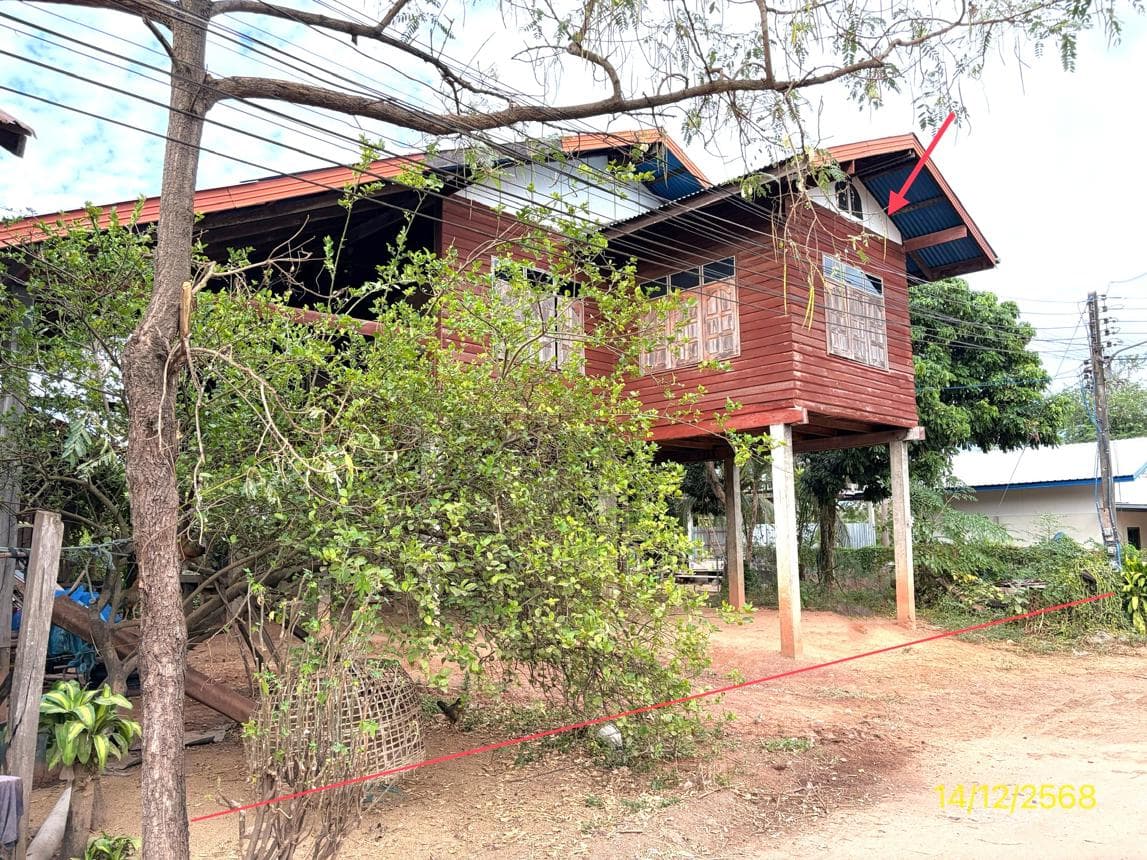 ขายบ้านเดี่ยว บ่อโพธิ์ นครไทย พิษณุโลก 1 ห้องนอน พื้นที่ใช้สอย 135 ตร.ม.