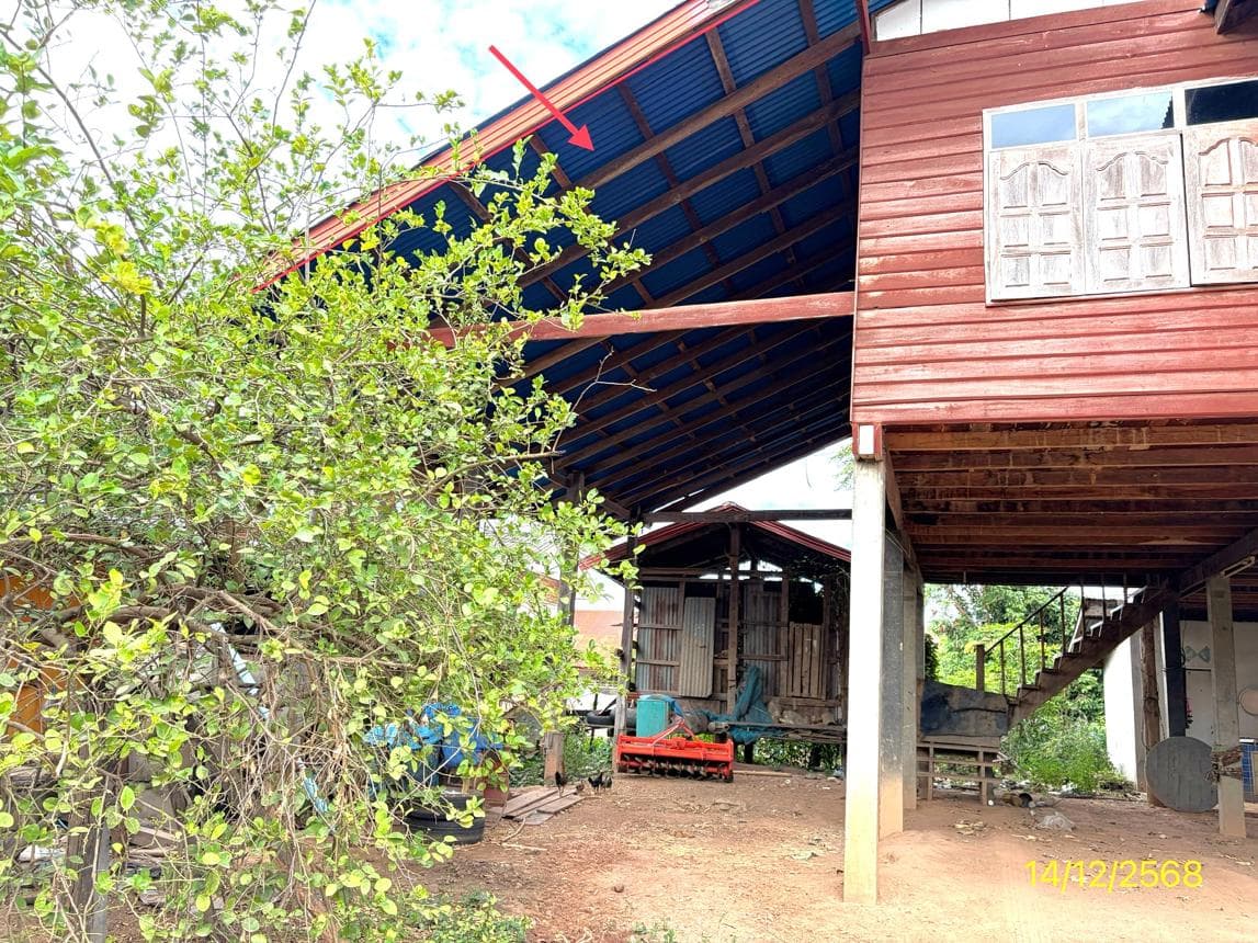 ขายบ้านเดี่ยว บ่อโพธิ์ นครไทย พิษณุโลก 1 ห้องนอน พื้นที่ใช้สอย 135 ตร.ม.