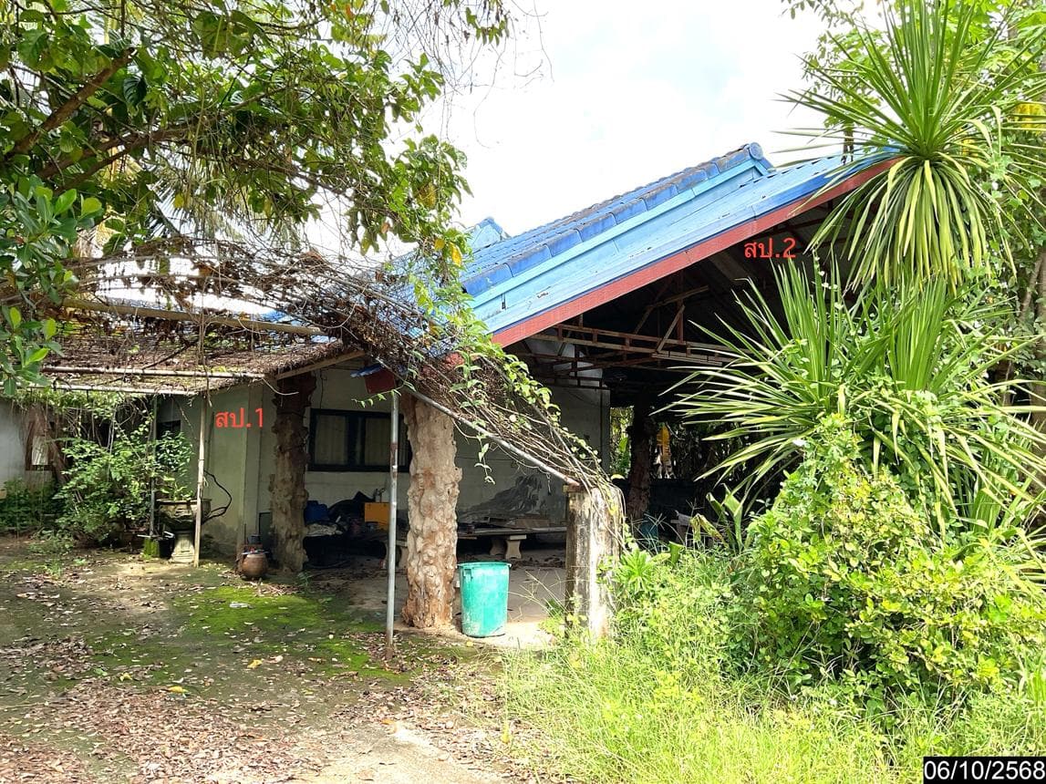 ขายบ้านเดี่ยว นากลาง หนองบัวลำภู พื้นที่กว้าง 98 ตร.ว. 3 ห้องนอน 3 ห้องน้ำ ทำเลสงบ พื้นที่ใช้สอย 147 ตร.ม.