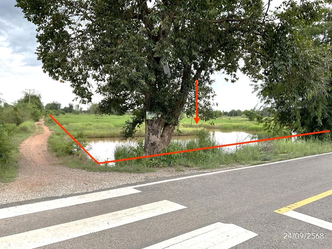 ที่ดินทำเลศักยภาพ บ้านด่าน-อรัญประเทศ สระแก้ว แปลงใหญ่ รองรับการลงทุนและพัฒนา