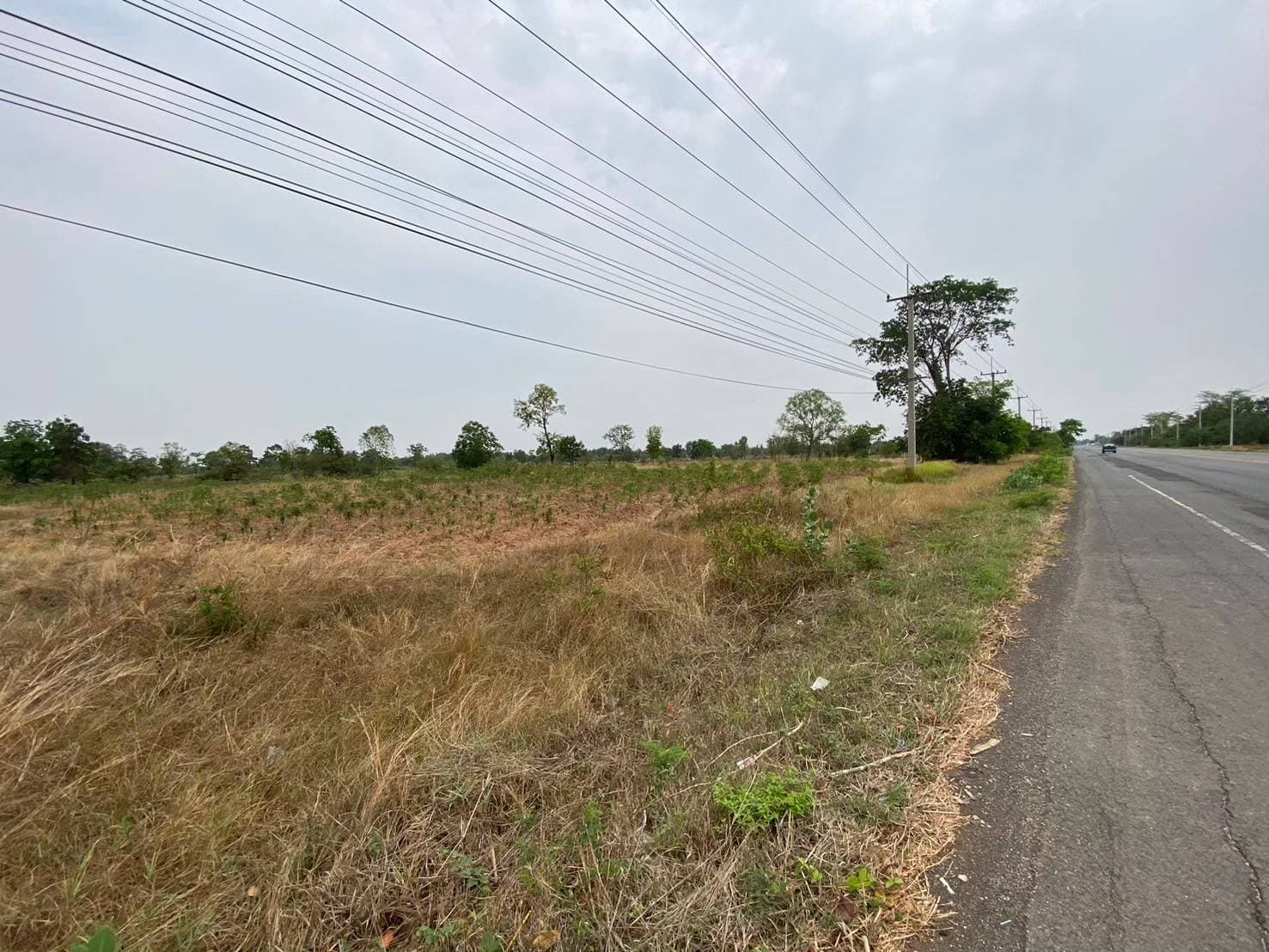 ที่ดินเปล่า ลำปลายมาศ บุรีรัมย์