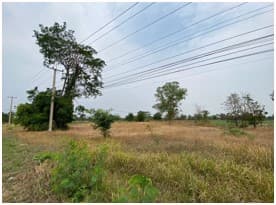 ที่ดินเปล่า ลำปลายมาศ บุรีรัมย์