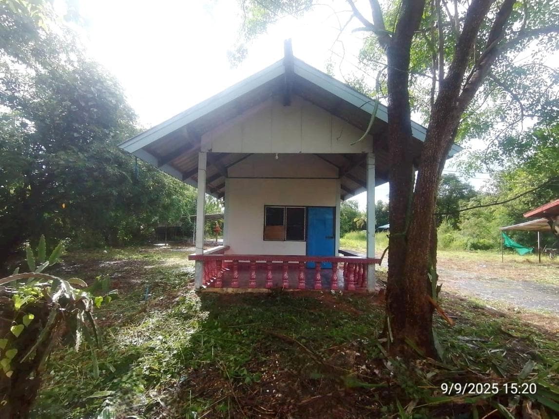 บ้านเดี่ยว นาสิงห์ ศรีวิไล บึงกาฬ พื้นที่ 81 ตร.ว. ทำเลสงบ ใกล้ชิดธรรมชาติ
