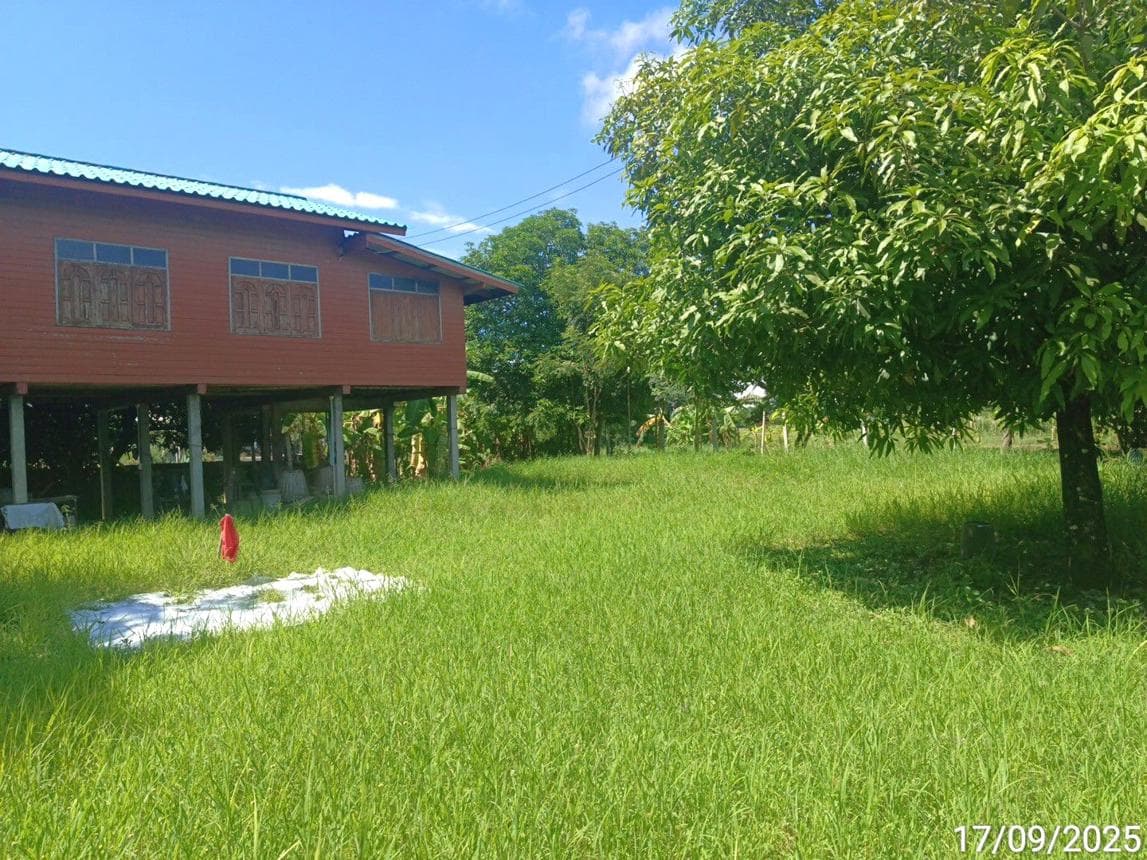 บ้านเดี่ยว บ้านสวน เมืองสุโขทัย สุโขทัย 2 ห้องนอน 1 ห้องน้ำ พื้นที่ใช้สอย 106.75 ตร.ม. ทำเลสงบเดินทางสะดวก ราคาพิเศษ 1.15 ล้าน