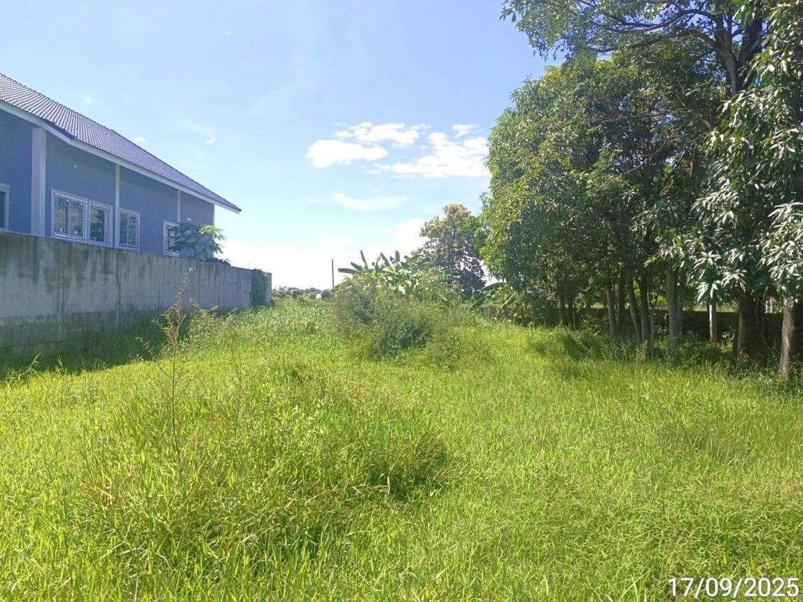 บ้านเดี่ยว บ้านสวน เมืองสุโขทัย สุโขทัย 2 ห้องนอน 1 ห้องน้ำ พื้นที่ใช้สอย 106.75 ตร.ม. ทำเลสงบเดินทางสะดวก ราคาพิเศษ 1.15 ล้าน