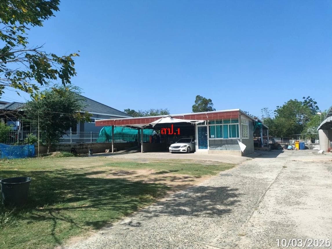 อาคารสำนักงาน แกดำ มหาสารคาม พื้นที่ใช้สอย 210 ตร.ม. บนเนื้อที่กว้าง 69.1 ตร.ว. ทำเลดีราคา 2.52 ล้านบาท