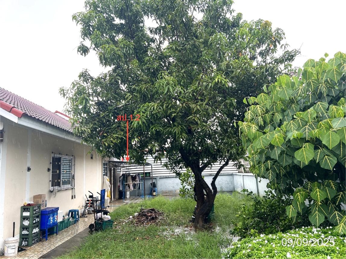 บ้านเดี่ยว นครชุม เมืองกำแพงเพชร กำแพงเพชร 3 ห้องนอน 1 ห้องน้ำ พื้นที่ใช้สอยกว้างขวางพิเศษ 211.5 ตร.ม. ทำเลดีเดินทางสะดวก ราคาพิเศษ 2.4 ล้าน