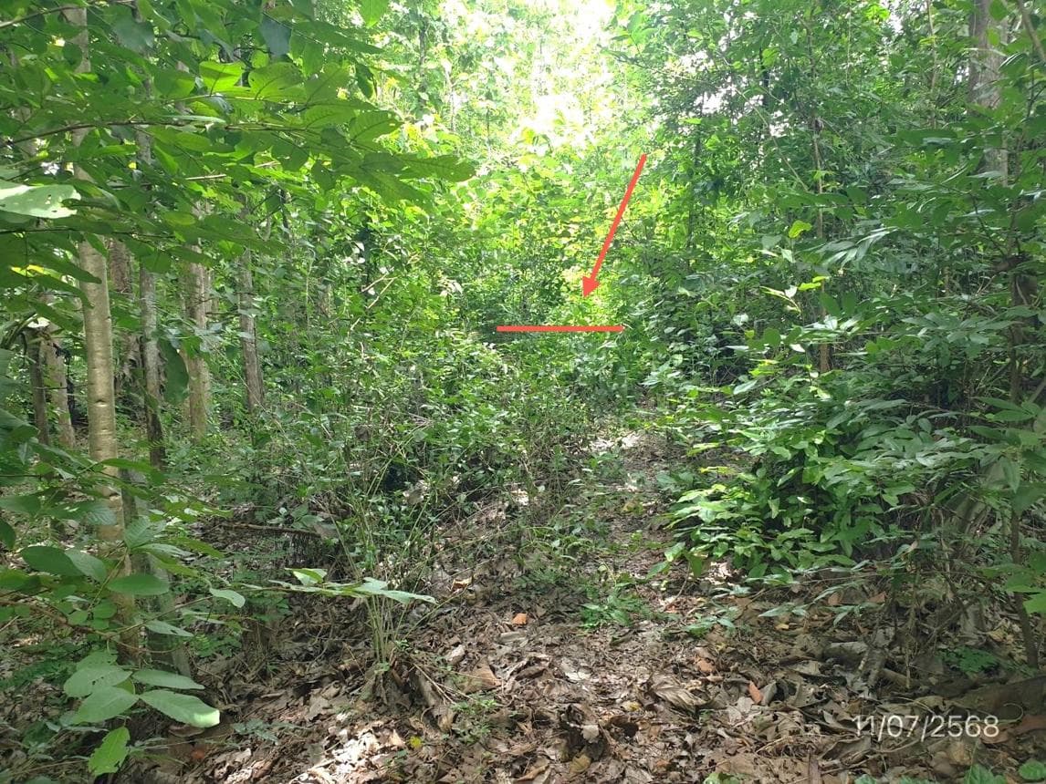 ขายที่ดินล้อมแรด เถิน ลำปาง 25 ตร.ว. ทำเลสงบ ราคาหลักแสน เริ่มต้นเป็นเจ้าของอสังหาฯ ได้ง่ายๆ