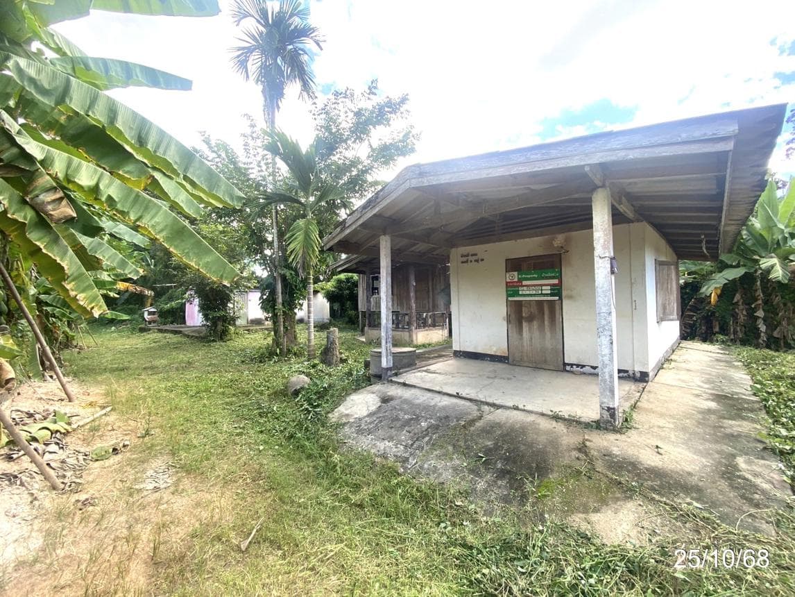 ขายบ้านเดี่ยว 1 ห้องนอน เนื้อที่ 74 ตร.ว. ทำเลเขื่อนผาก พร้าว เชียงใหม่ ราคาถูกสุดๆ เพียง 5.2 แสนบาท