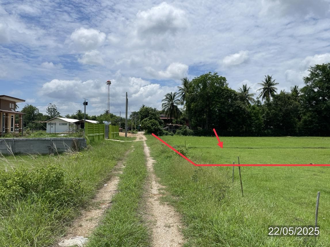 ขายที่ดินว่างเปล่าแปลงใหญ่ ทำเลดี บรรยากาศธรรมชาติ อ.บ้านด่านลานหอย จ.สุโขทัย