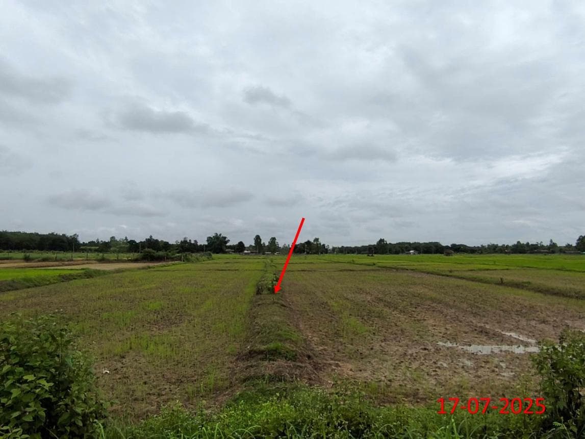 ขายที่ดิน เมืองยาว ห้างฉัตร ลำปาง พื้นที่ 9 ตร.ว.
