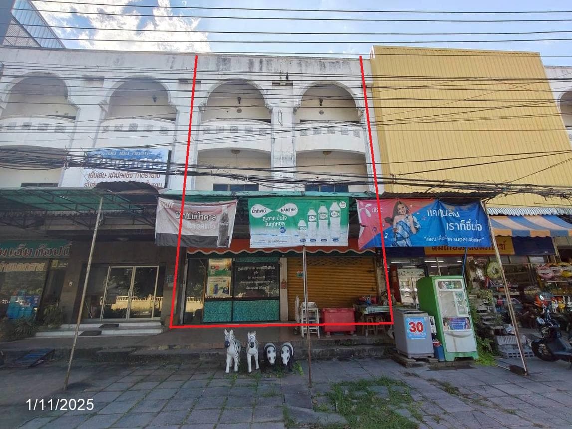 อาคารพาณิชย์ ผักปัง ภูเขียว ชัยภูมิ พื้นที่ 38.9 ตร.ว. พื้นที่ใช้สอย 320 ตร.ม. 4 ห้องนอน 6 ห้องน้ำ