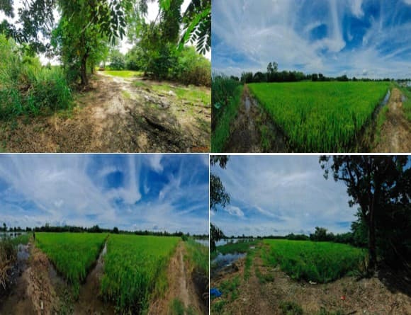 ที่ดินเปล่า บางไทร พระนครศรีอยุธยา