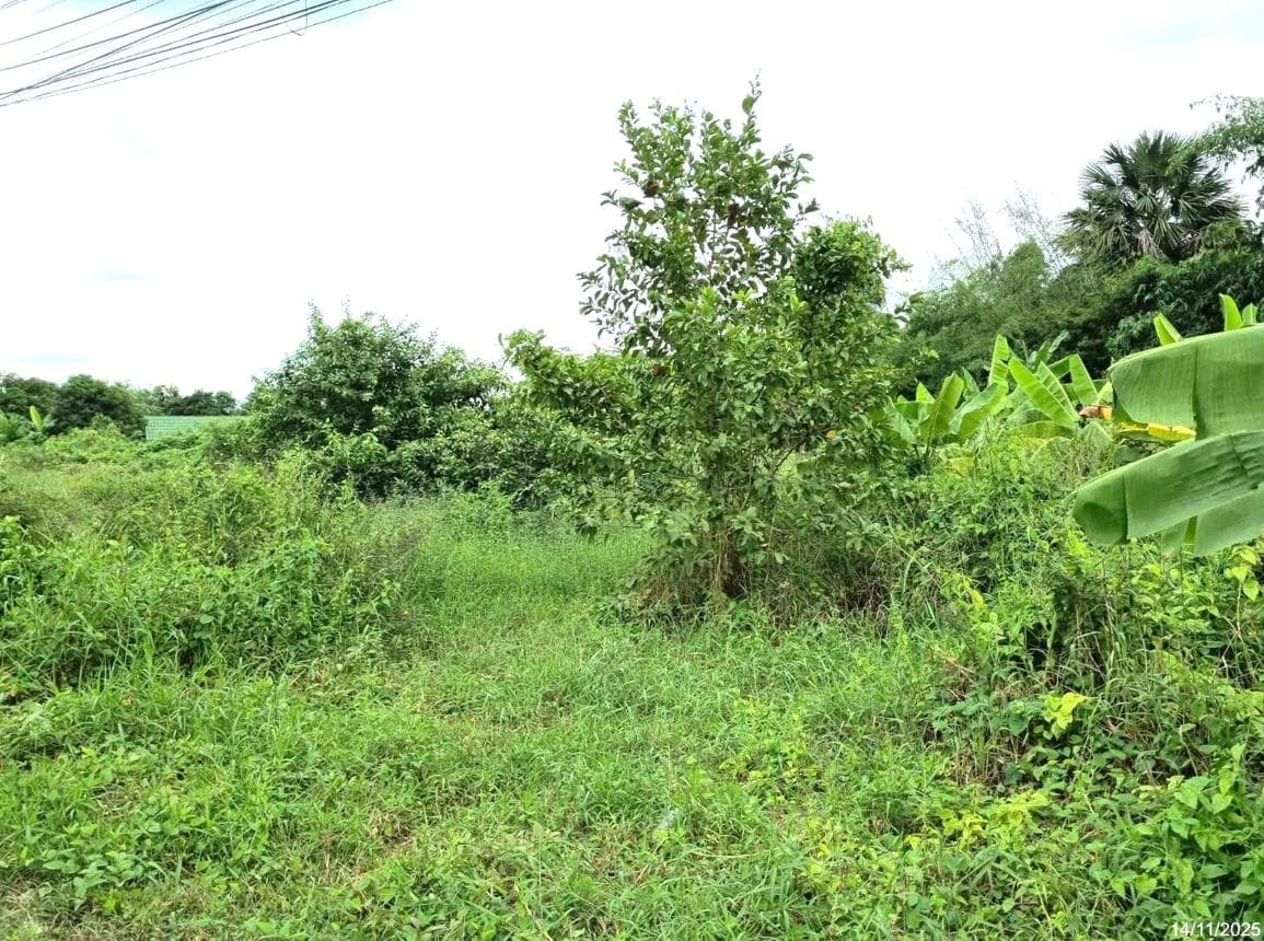 ที่ดินว่างเปล่า หนองดินแดง เมืองนครปฐม เนื้อที่ 95.2 ตร.ว. ทำเลดี ใกล้ถนนใหญ่และตัวเมือง เหมาะสำหรับสร้างบ้านหรือลงทุน ราคาคุ้มค่า