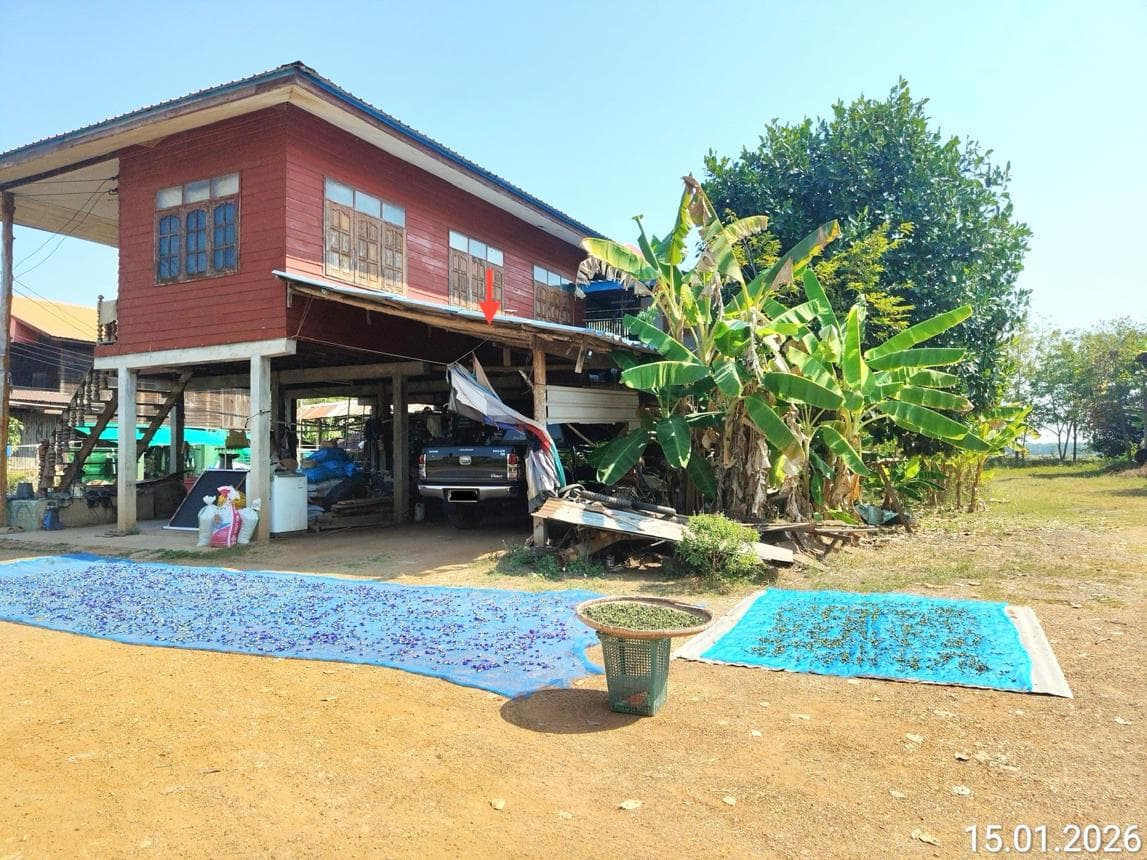 ขายบ้านเดี่ยวพื้นที่กว้าง 90 ตร.ว. 3 ห้องน้ำ ทำเลท่าสัก พิชัย อุตรดิตถ์ ราคาล้านต้นๆ คุ้มค่าพร้อมอยู่