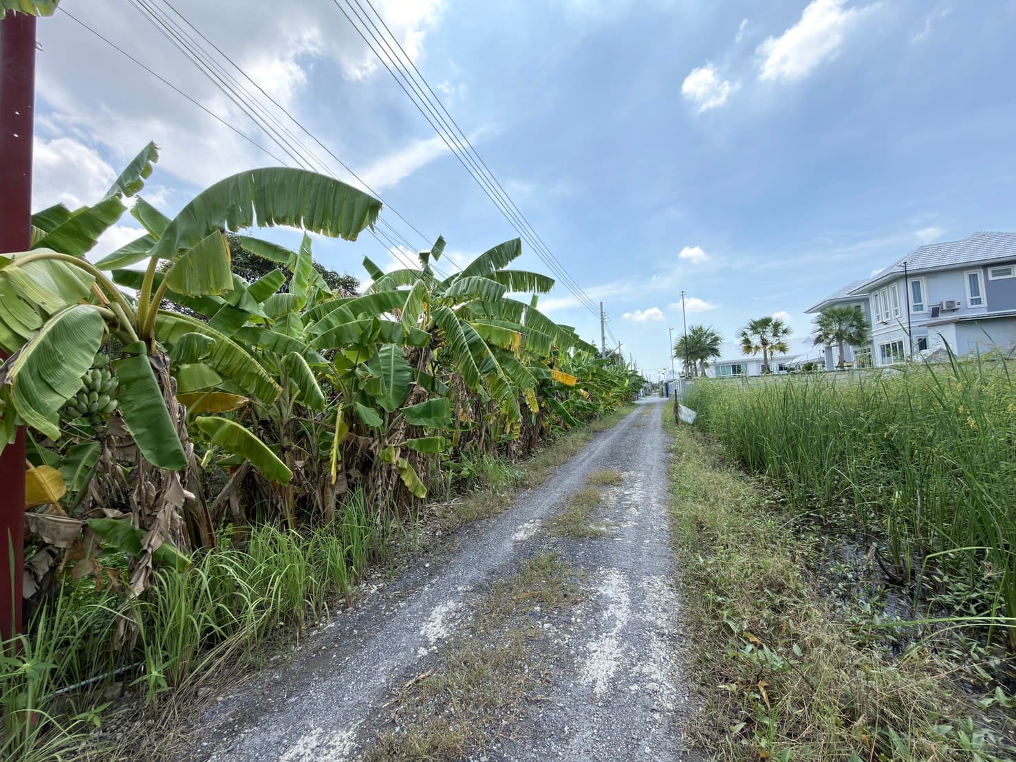 ขายที่ดินแปลงสวย 300 ตร.ว. ซอยกำนันเล็ก 2 (เพชรเกษม 69 หนองแขม) หน้ากว้าง บรรยากาศดี เหมาะสร้างบ้าน ทำเลเดินทางสะดวก