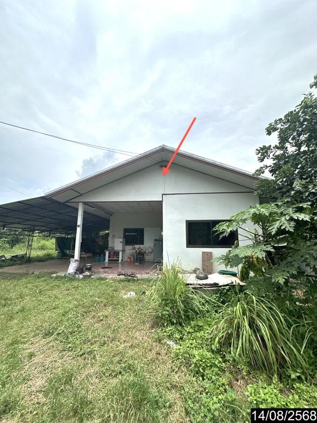 ขายบ้านเดี่ยว เขื่องคำ เมืองยโสธร ยโสธร 2 ห้องนอน พื้นที่ใช้สอย 173 ตร.ม.