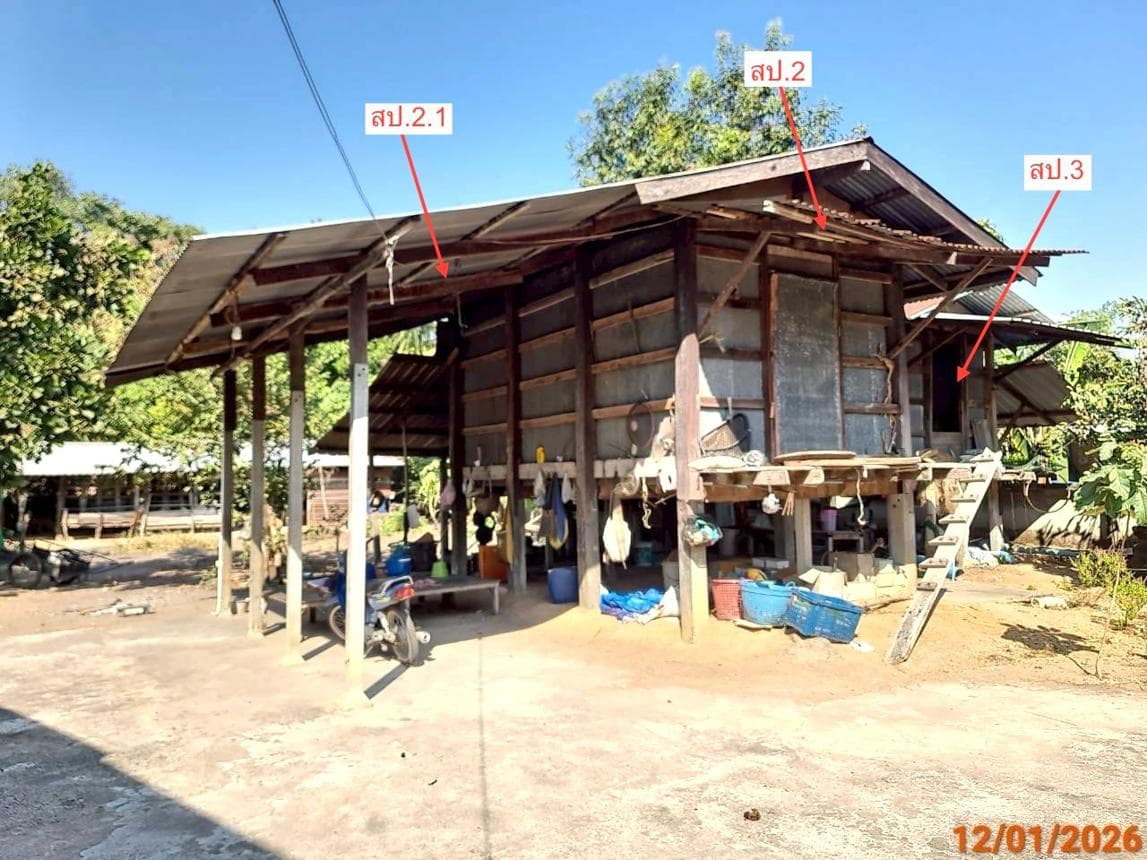 ขายบ้านเดี่ยว สตึก บุรีรัมย์ พื้นที่ใช้สอยกว้างขวาง 345 ตร.ม. ทำเลเงียบสงบ บรรยากาศส่วนตัว