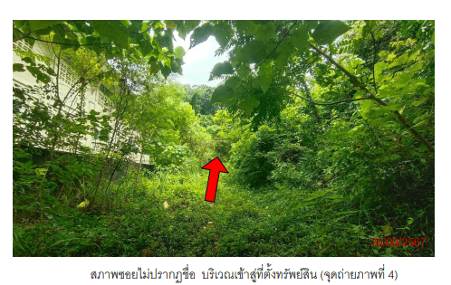 ที่ดินเปล่า เมืองกระบี่ กระบี่