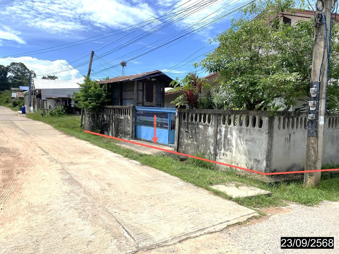 บ้านเดี่ยว โพนงาม กมลาไสย กาฬสินธุ์ 1 ห้องนอน 1 ห้องน้ำ พื้นที่กว้าง 177 ตร.ม. บนเนื้อที่ 69 ตร.ว. ราคาล้านต้นๆ