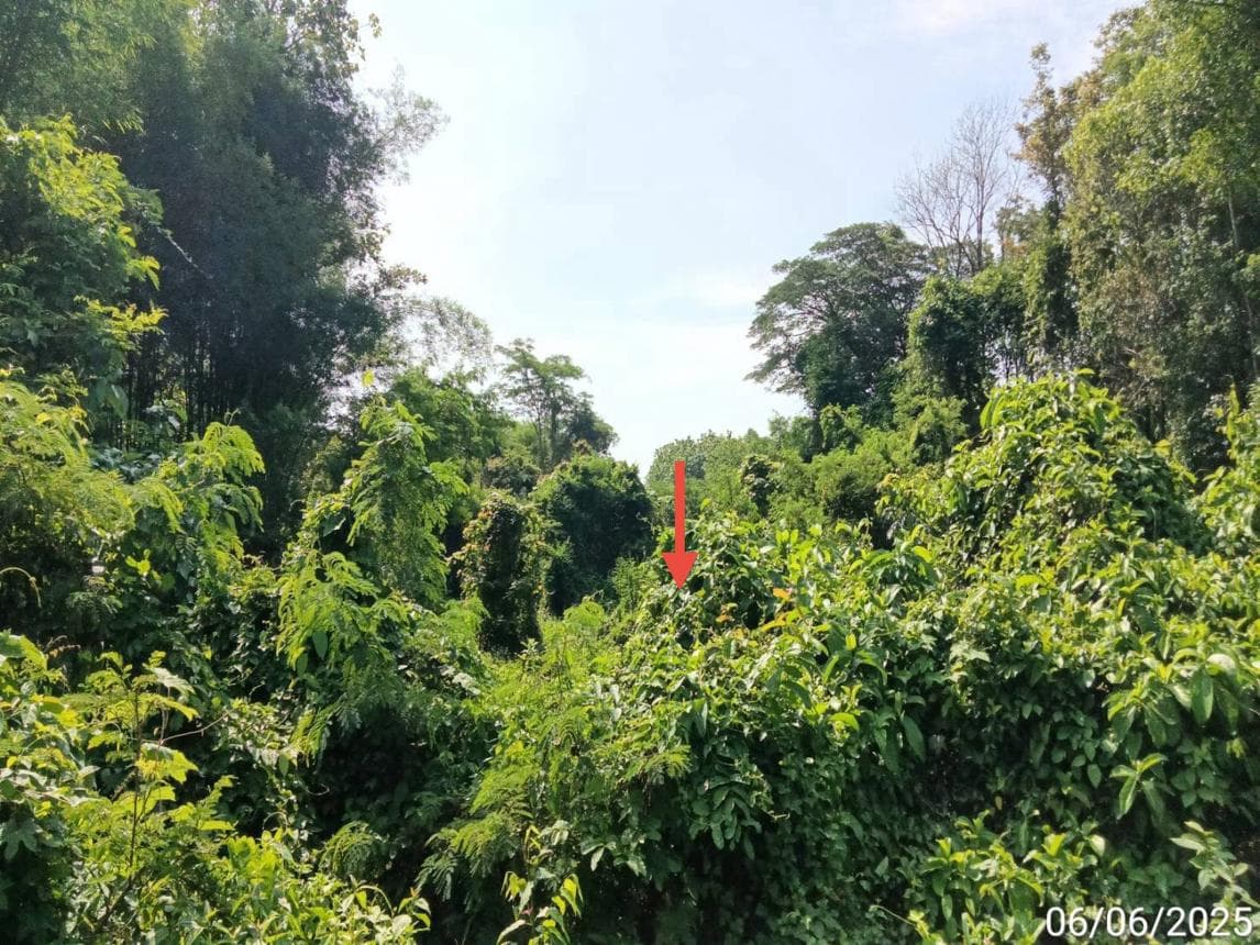 ขายที่ดินว่างเปล่า หัวทุ่ง ลอง แพร่ พื้นที่ 13 ตร.ว. ทำเลศักยภาพเพื่อการลงทุน