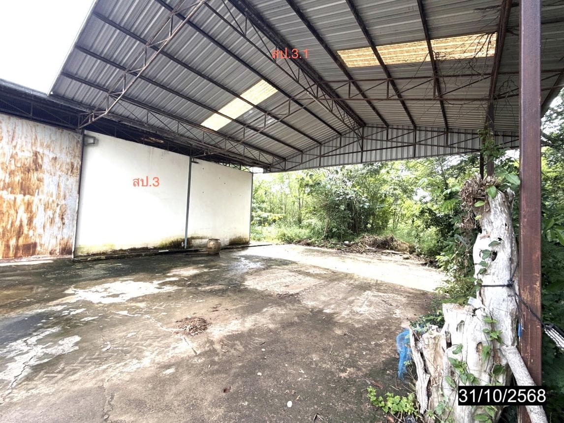โกดัง บ้านเป้า เกษตรสมบูรณ์ ชัยภูมิ พื้นที่ 93 ตร.ว. พื้นที่ใช้สอย 368 ตร.ม.