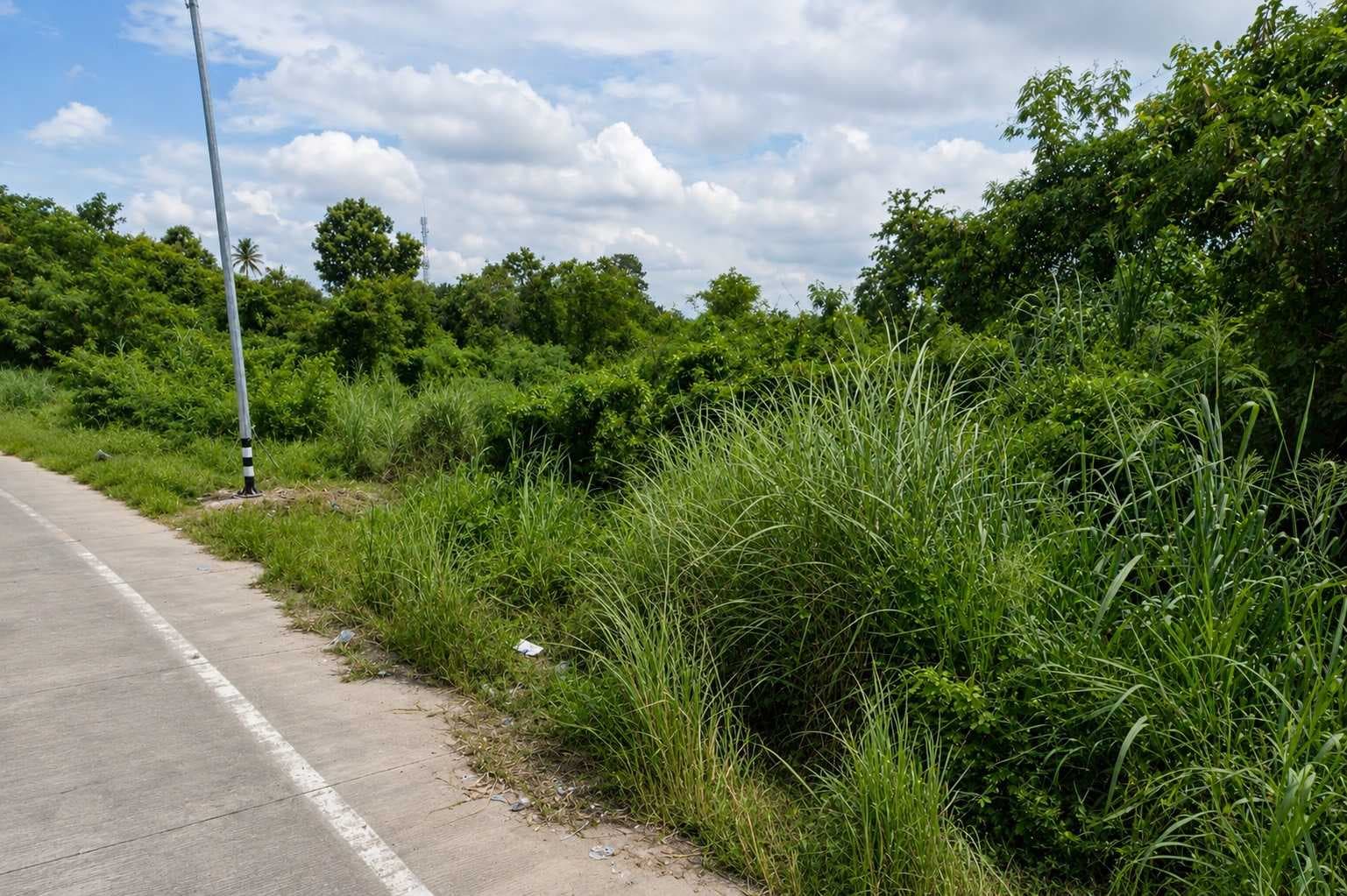 ขาย ที่ดินเปล่า 83 ตร.ว. ทำเลดี บางพระ – ศรีราชา ซอยบ้านลุงเทิ้ม ใกล้อ่างเก็บน้ำบางพระ จังหวัดชลบุรี
