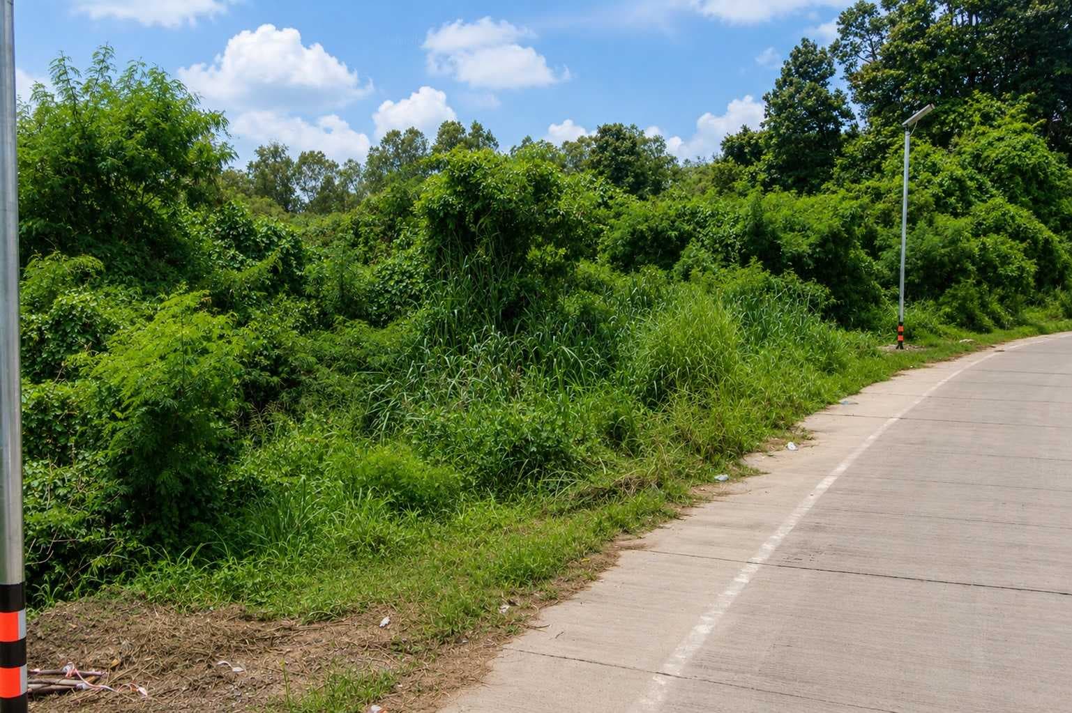 ขาย ที่ดินเปล่า 83 ตร.ว. ทำเลดี บางพระ – ศรีราชา ซอยบ้านลุงเทิ้ม ใกล้อ่างเก็บน้ำบางพระ จังหวัดชลบุรี