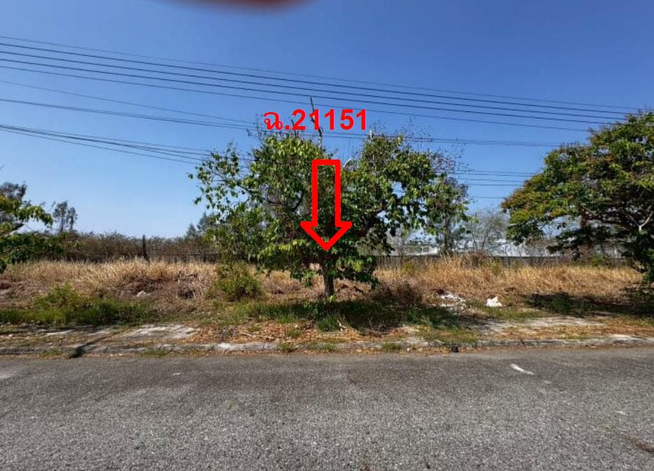 ที่ดินเปล่า บางปะกง ฉะเชิงเทรา
